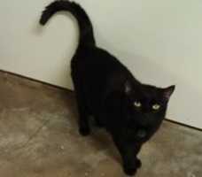 12-23-16 Sadie GIMP online editor free Free download 12-23-16 Sadie free photo or picture to be edited with GIMP online image editor