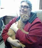 Free picture 12-29-17 Seamus (aka Sparky) adoption day 2014 to be edited by GIMP online free image editor by OffiDocs