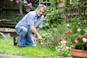Free download 12 Mangardening free photo or picture to be edited with GIMP online image editor