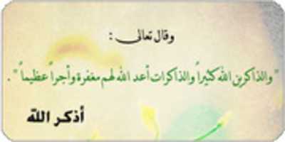 Free download 13854217153 free photo or picture to be edited with GIMP online image editor