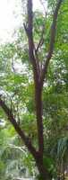 Free download 138 72 free photo or picture to be edited with GIMP online image editor