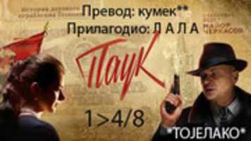 Free download 1 4 8 Pauk free photo or picture to be edited with GIMP online image editor