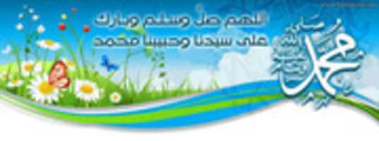 Free download 1528742 438812882911983 1597367168 N free photo or picture to be edited with GIMP online image editor