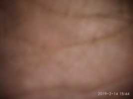 Free download 1550139235798. free photo or picture to be edited with GIMP online image editor