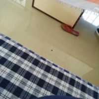 Free download 1564484639329. free photo or picture to be edited with GIMP online image editor