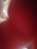 Free download 15689498799321011602983245890087 free photo or picture to be edited with GIMP online image editor