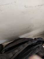 Free download 15701656863225467384920968417904 free photo or picture to be edited with GIMP online image editor