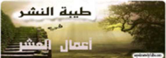 Free download 15783 free photo or picture to be edited with GIMP online image editor