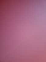 Free download 15836958282445552339846093139836 free photo or picture to be edited with GIMP online image editor