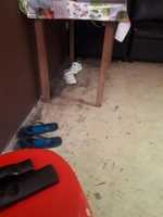 Free download 1590185949701925776827411877121 free photo or picture to be edited with GIMP online image editor