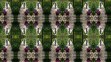 Free download 1592479968 free photo or picture to be edited with GIMP online image editor