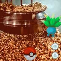 Free download 160805 Pokemon Go free photo or picture to be edited with GIMP online image editor