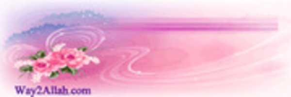 Free download 16215714 1215757598507928 1803306599 N free photo or picture to be edited with GIMP online image editor