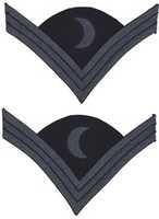 Free download 1872-1902 United States Army Chevrons for a Commissary Sergeant and Post Commissary Sergeant free photo or picture to be edited with GIMP online image editor
