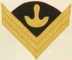 Free download 1872-1902 United States Army Chevrons for a Saddler Sergeant free photo or picture to be edited with GIMP online image editor