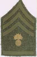 Free download (1902-1920) Chevrons in The Great War. free photo or picture to be edited with GIMP online image editor