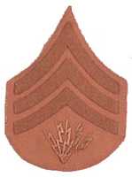 Free download 1902 United States Army Coast Artillery Corps Chevrons (Part 2) free photo or picture to be edited with GIMP online image editor