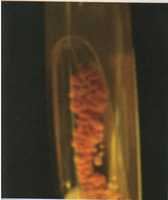 Free download 1919191991 free photo or picture to be edited with GIMP online image editor