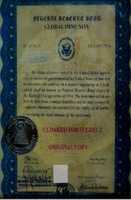 Free download 1934 USA Federal Reserve Bond Global Immunity free photo or picture to be edited with GIMP online image editor