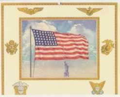 Free download (1942) Insignia of The United States Defense Force free photo or picture to be edited with GIMP online image editor
