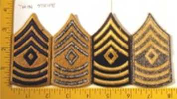 Free download 1948-1951 U. S. Army Combat and Non-Combat Chevrons free photo or picture to be edited with GIMP online image editor