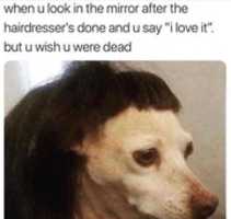 Free download 194 free photo or picture to be edited with GIMP online image editor