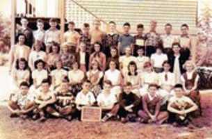 Free download 1952 free photo or picture to be edited with GIMP online image editor