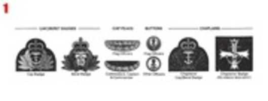 Free download (1995) Royal Navy Distinguishing Marks free photo or picture to be edited with GIMP online image editor