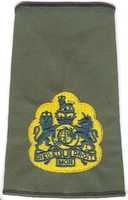 Free download 1999 Royal Army Slip-On Rank Marks free photo or picture to be edited with GIMP online image editor