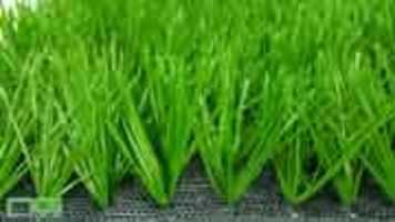Free download 1 Co Nhan Tao free photo or picture to be edited with GIMP online image editor