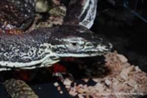 Free download 1 DSC 0985 free photo or picture to be edited with GIMP online image editor