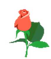 Free download 1 Natal Gato Do Sol 2 free photo or picture to be edited with GIMP online image editor