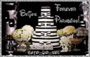 Free download 1 NIVER FOREVER 2016 5 free photo or picture to be edited with GIMP online image editor