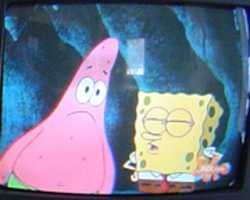 Free download 2005 03 11 0830am Sponge Bob Square Pants free photo or picture to be edited with GIMP online image editor