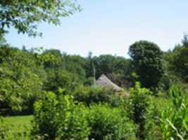 Free download 200810-holten free photo or picture to be edited with GIMP online image editor