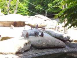 Free download 20120705 152849 free photo or picture to be edited with GIMP online image editor