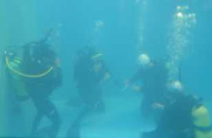 Free download 2013061054516312 free photo or picture to be edited with GIMP online image editor