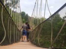 Free download 20160228 120052 free photo or picture to be edited with GIMP online image editor