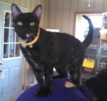 Free download 2017-06-02 Swiss free photo or picture to be edited with GIMP online image editor