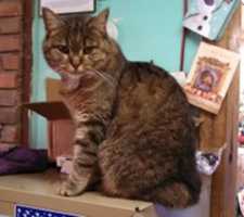 Free download 2017-06-09 Teffer free photo or picture to be edited with GIMP online image editor