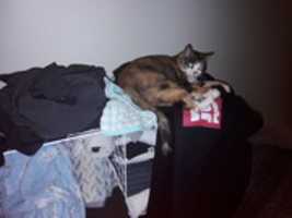 Free download 20180326_085333.jpg free photo or picture to be edited with GIMP online image editor