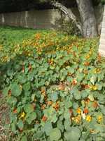 Free download 2018 05 MEMORY DUMP IMAGES free photo or picture to be edited with GIMP online image editor