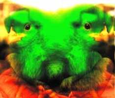 Free download 20190303 165635 free photo or picture to be edited with GIMP online image editor