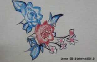 Free download 20190418 145956 free photo or picture to be edited with GIMP online image editor