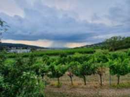 20190728 175035 GIMP online editor free Free download 20190728 175035 free photo or picture to be edited with GIMP online image editor