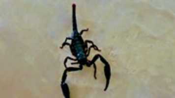 Free download 2019 07 31 21 02 42~ 2 free photo or picture to be edited with GIMP online image editor