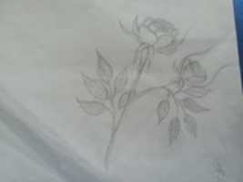 Free download 20200311 151431 free photo or picture to be edited with GIMP online image editor