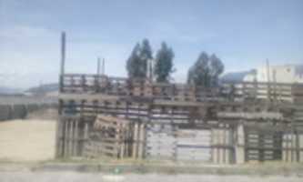 Free download 2020 09 26 10 34 52 free photo or picture to be edited with GIMP online image editor