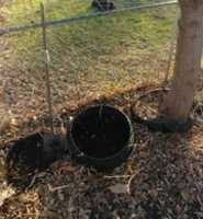 20201210 144744 Small GIMP online editor free Free download 20201210 144744 Small free photo or picture to be edited with GIMP online image editor