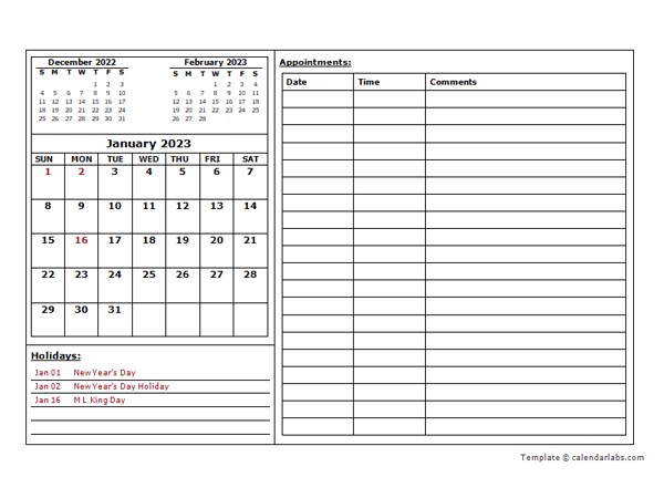 2023-monthly-appointment-calendar-word-23 Template
